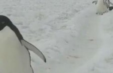 情侶小視頻國(guó)產(chǎn)區(qū),國(guó)產(chǎn)情侶小視頻甜蜜瞬間大盤(pán)點(diǎn)